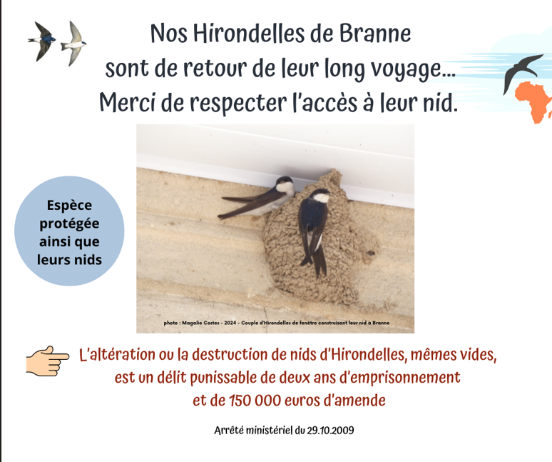 Capture_décran_2025-05-21_082054.png